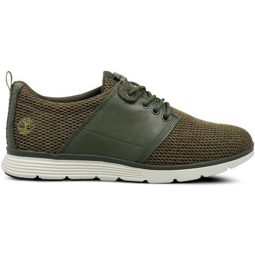 Sneakers Timberland - Timberland - Modalova