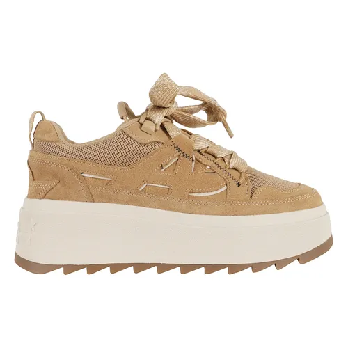 ASH - Shoes > Sneakers - Brown - ASH - Modalova