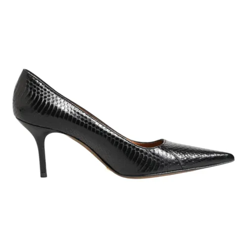 Shoes > Heels > Pumps - - Dolce & Gabbana - Modalova