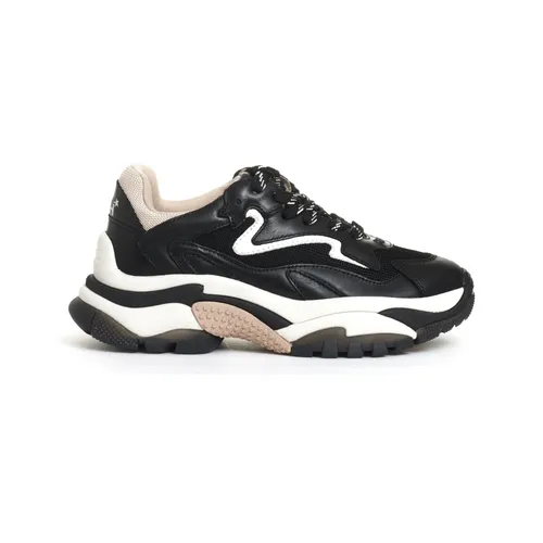 Shoes > Sneakers - - ASH - Modalova