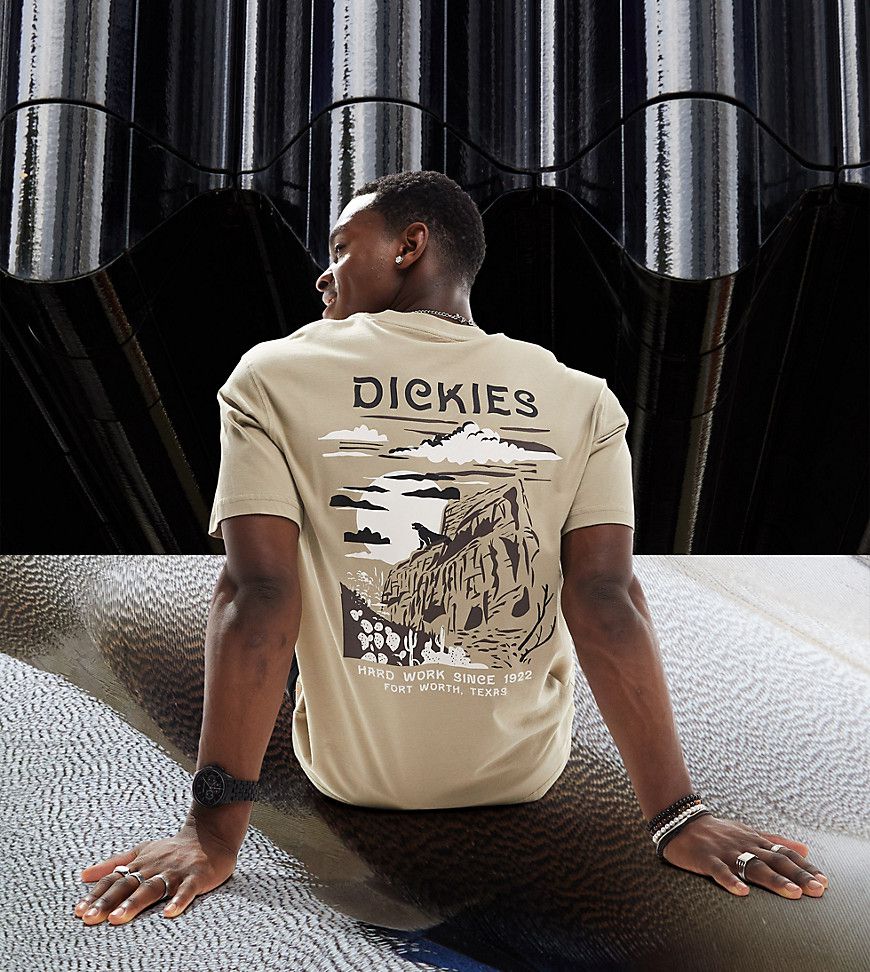 T-shirt unisex color sabbia con stampa "Eagle Point Mountain" sul retro - In esclusiva per ASOS - Dickies - Modalova