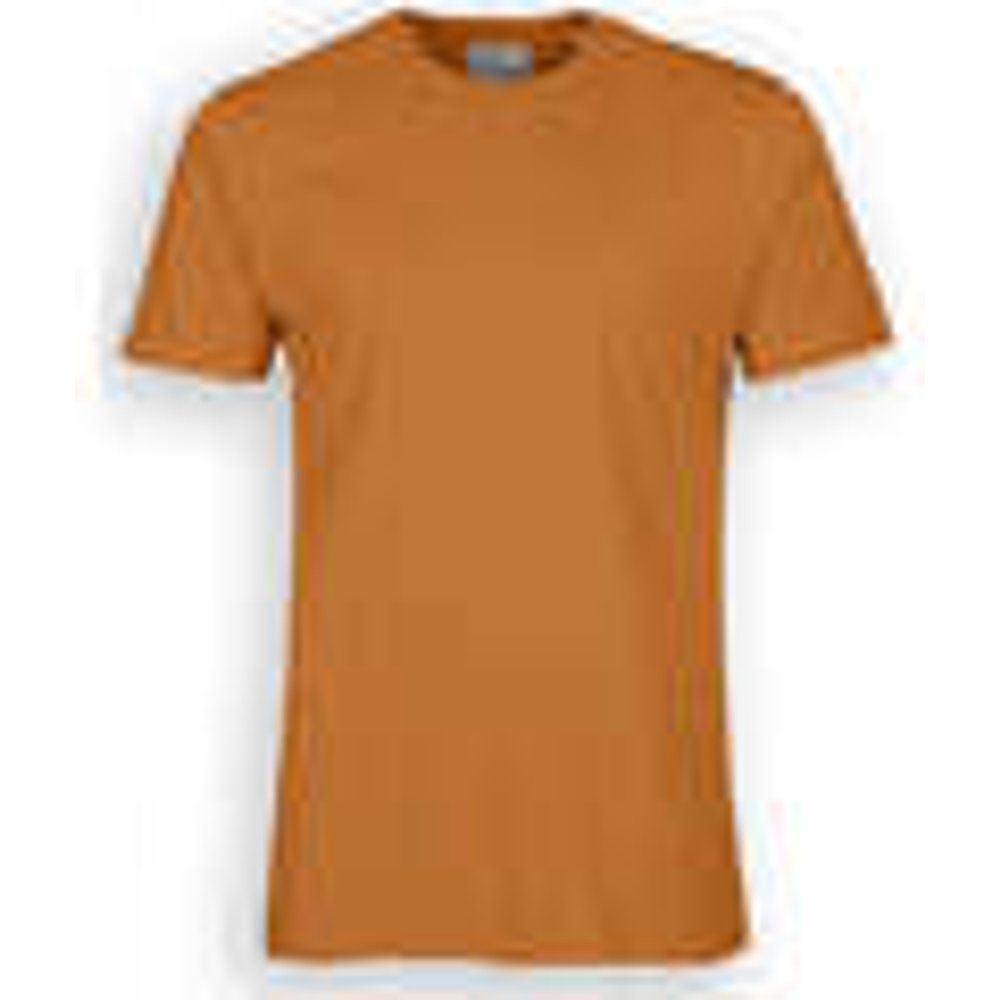 T-shirt & Polo Cotone Organico Ginger - Colorful Standard - Modalova