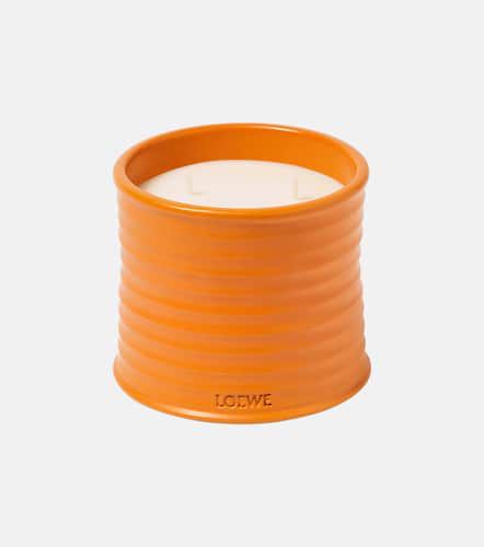 Candela profumata Orange Blossom media - Loewe Home Scents - Modalova