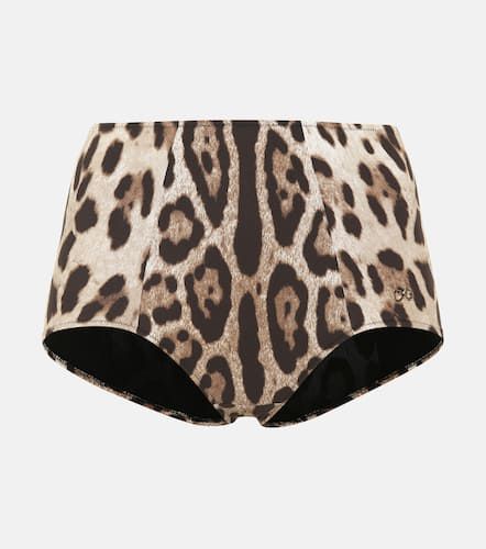 Slip bikini con stampa leopardata - Dolce&Gabbana - Modalova