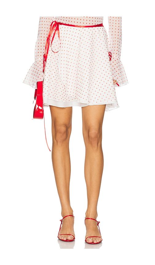 Franny Skirt in . Size M, S, XL/1X, XS - Tyler McGillivary - Modalova
